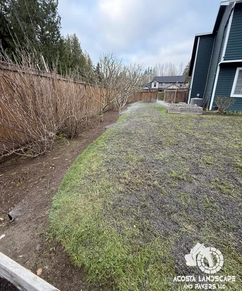 Lawn Care & Sprinkler System Installation